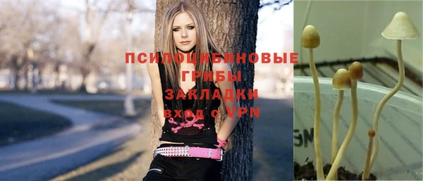 винт Балабаново