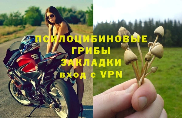 ECSTASY Баксан