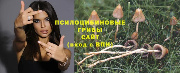 винт Балабаново
